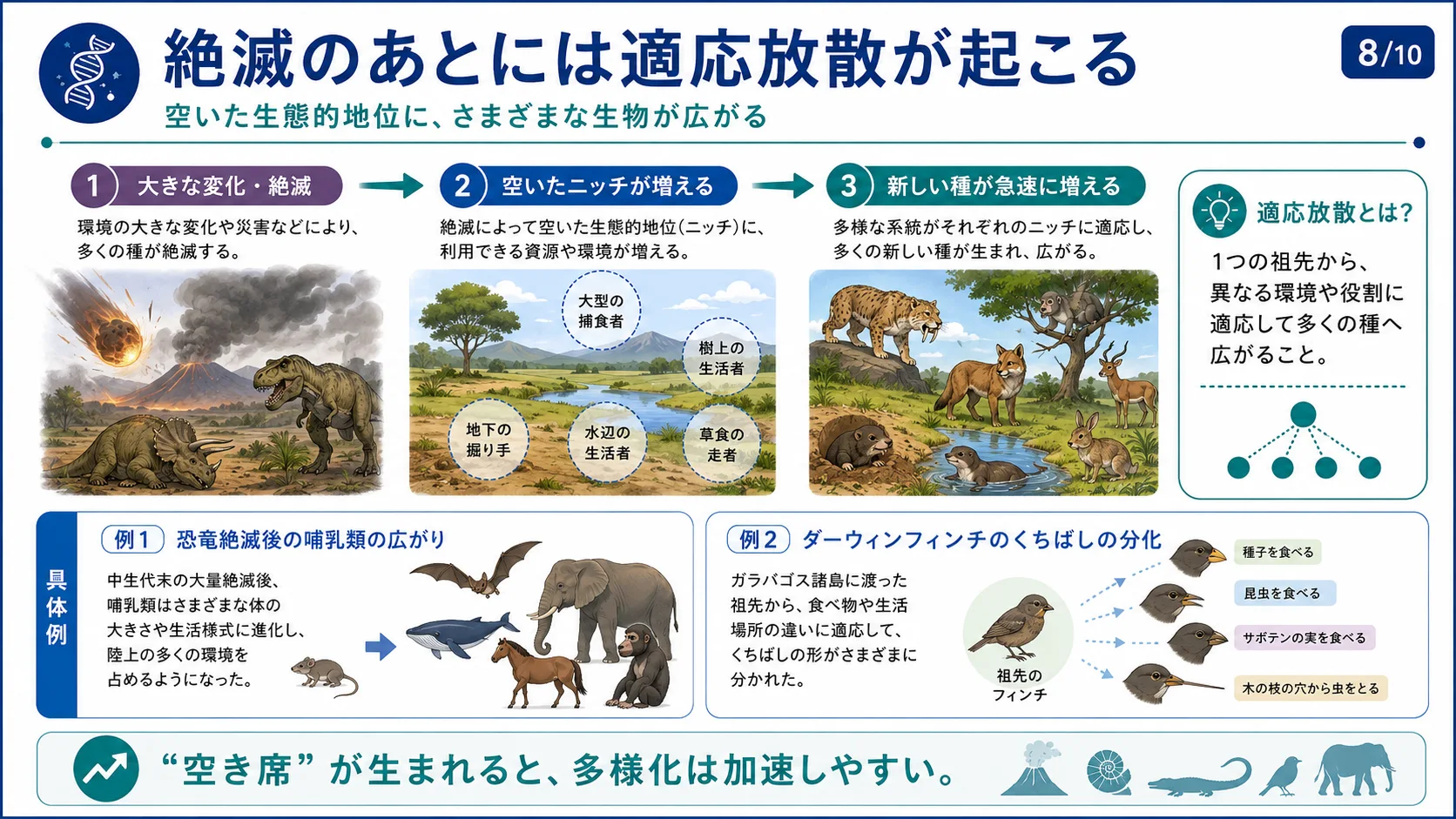 絶滅のあとには適応放散が起こる