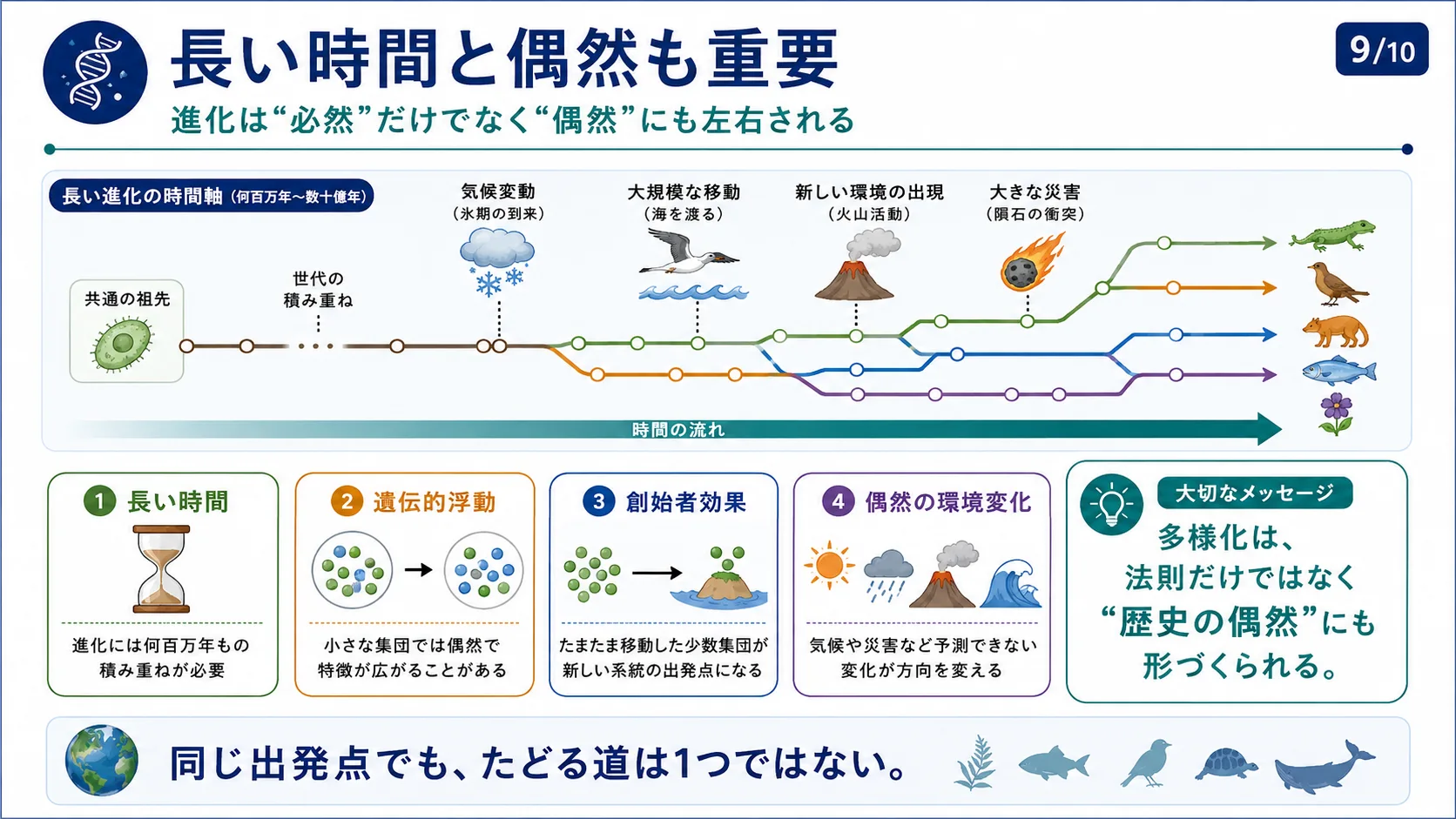 長い時間と偶然も重要