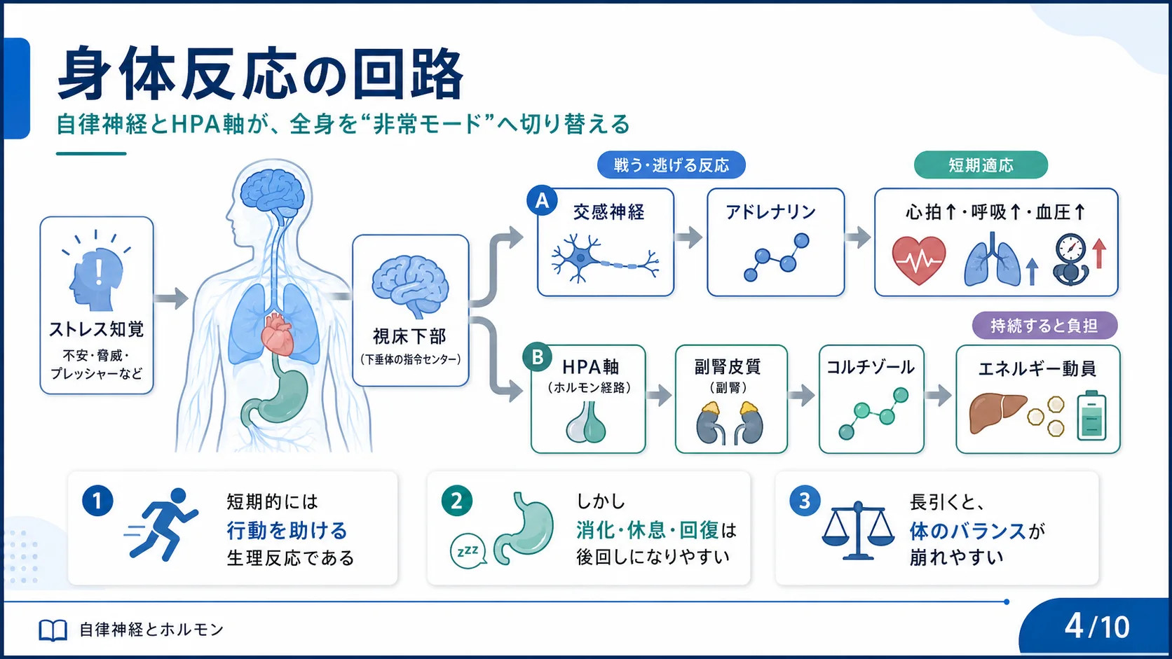 身体反応の回路