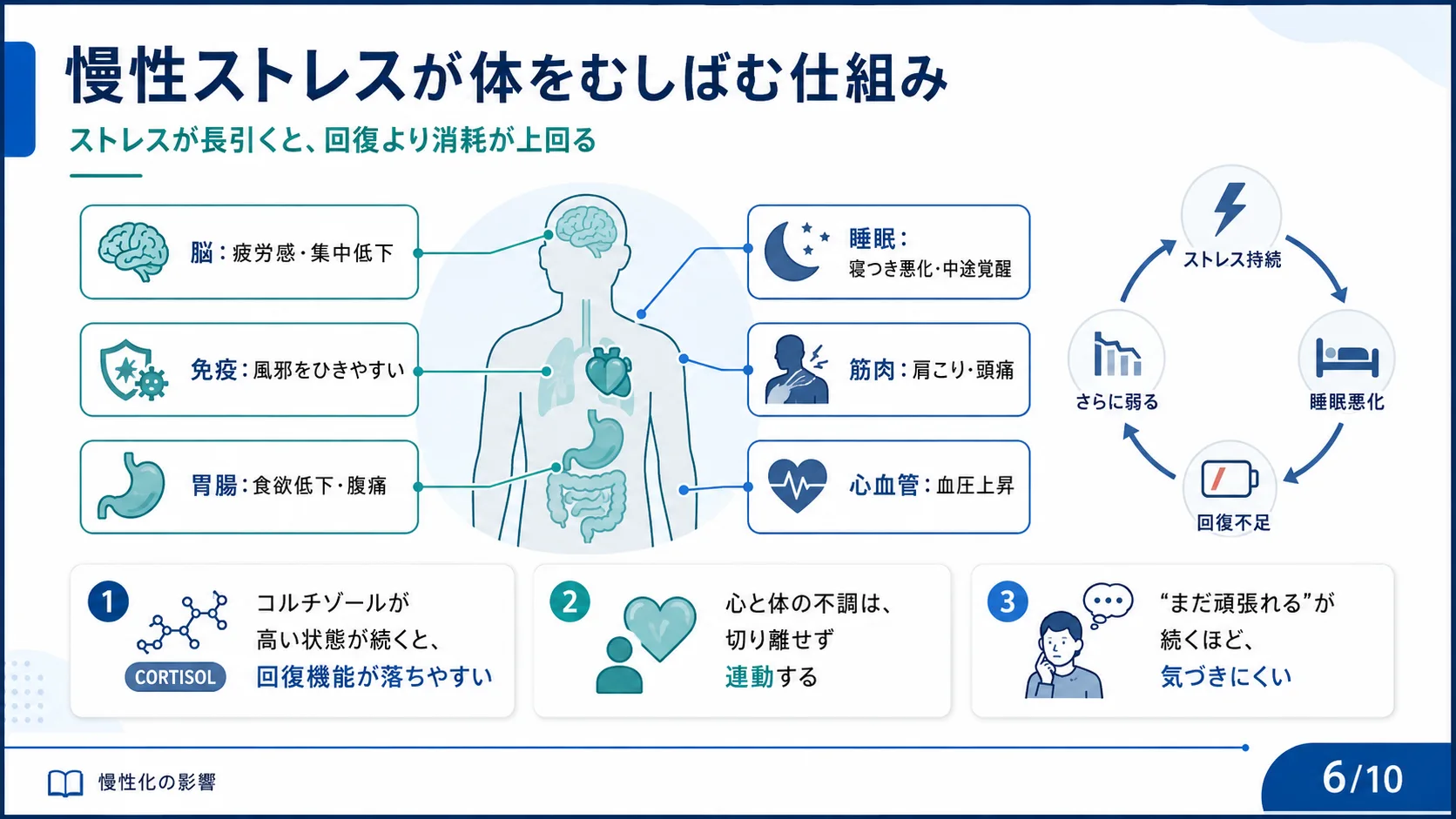 慢性ストレスが体をむしばむ仕組み