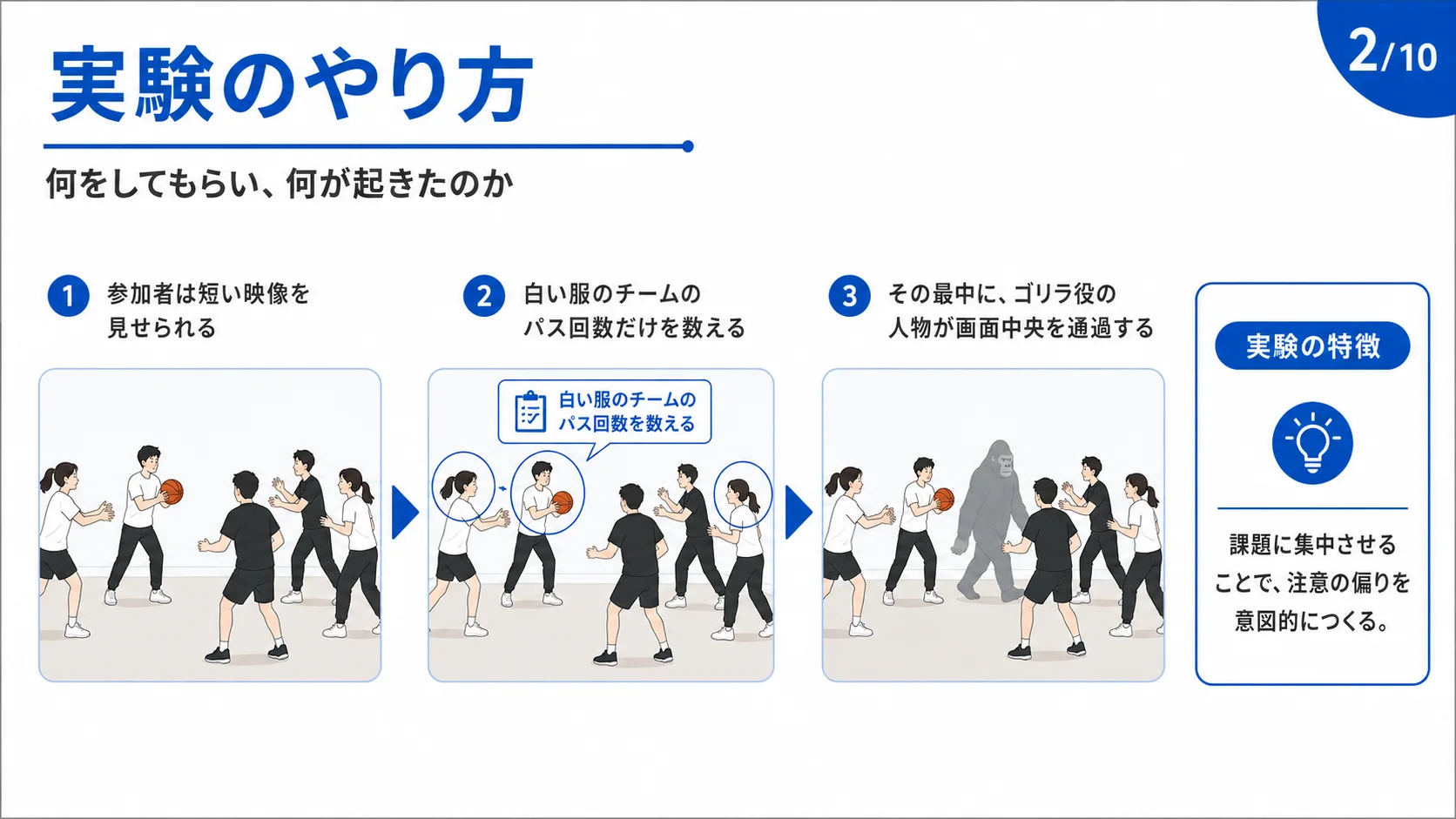 実験のやり方