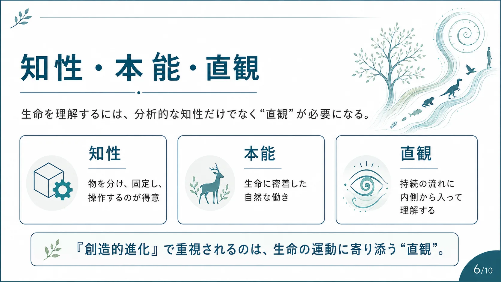知性・本能・直観