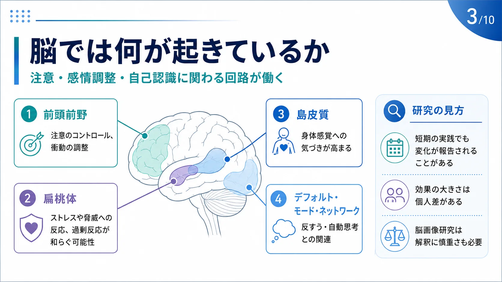 脳では何が起きているか