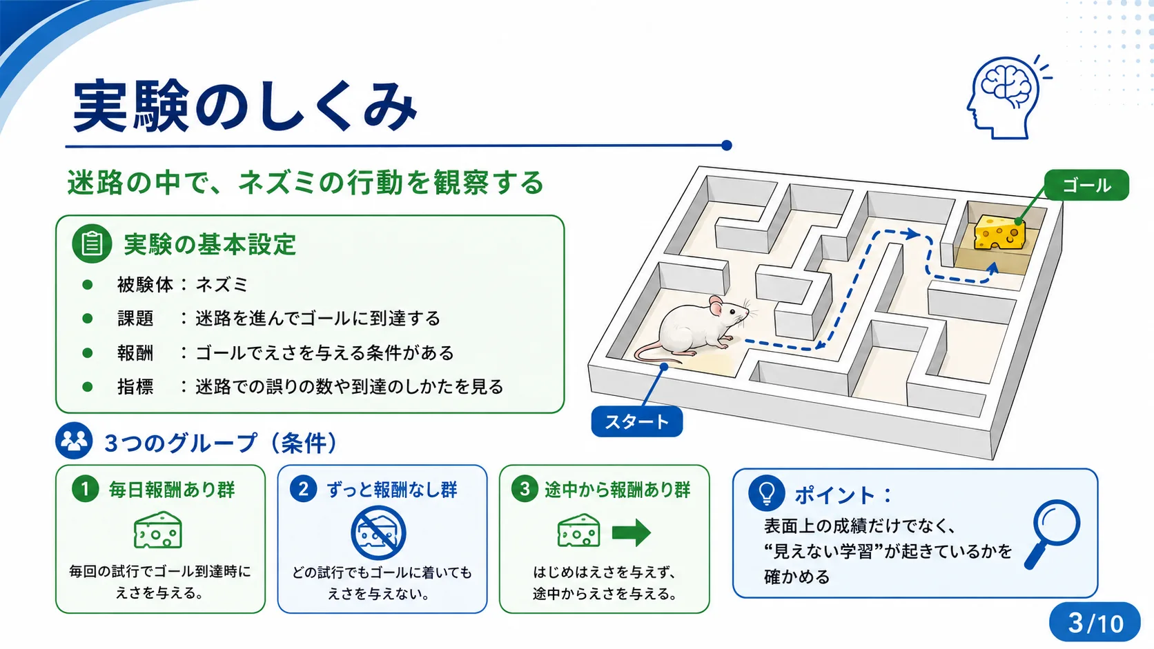 実験のしくみ