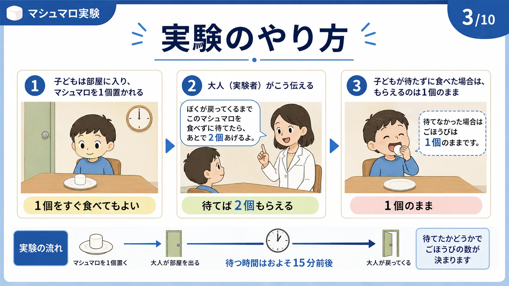 実験のやり方