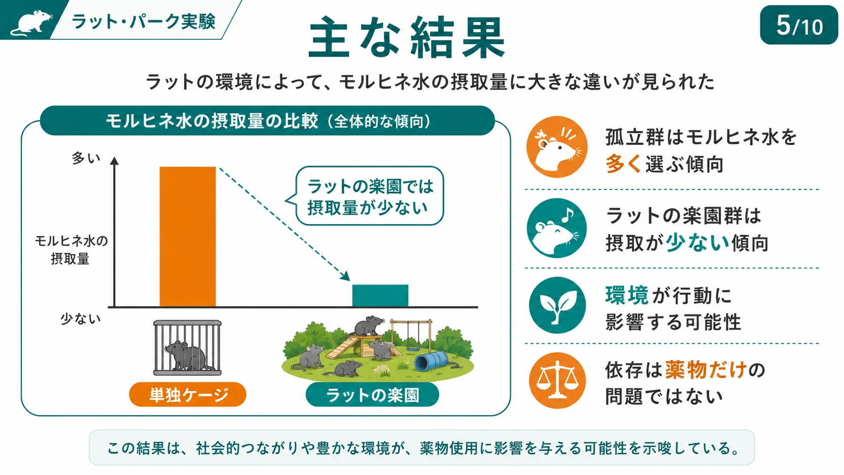 主な結果