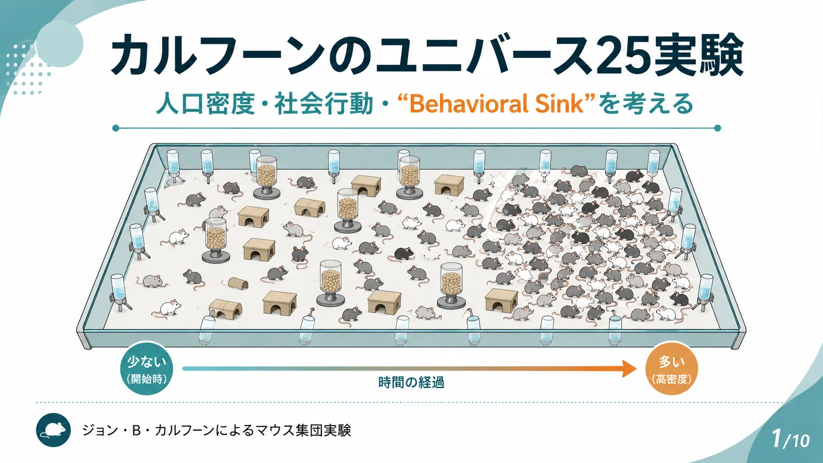 カルフーンのユニバース25実験(ジョン・B・カルフーン)の図解スライド