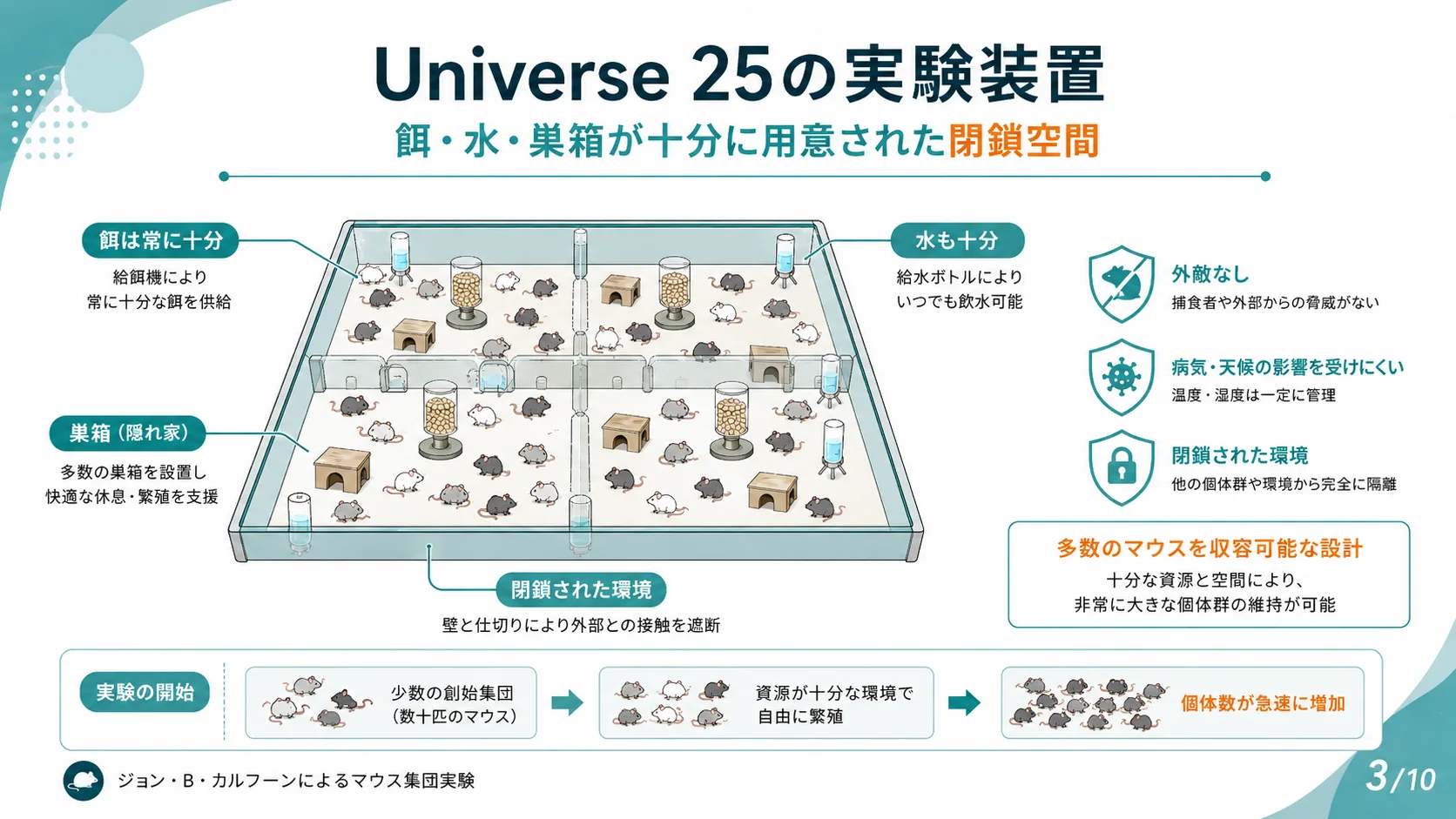 Universe 25の実験装置