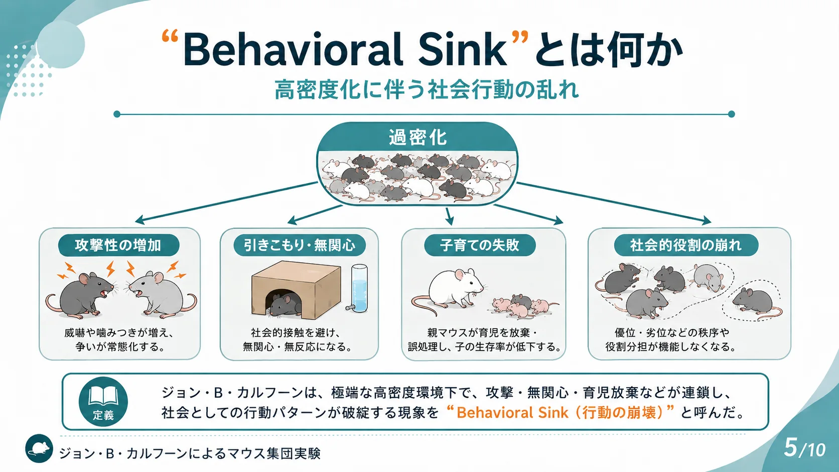 "Behavioral Sink"とは何か