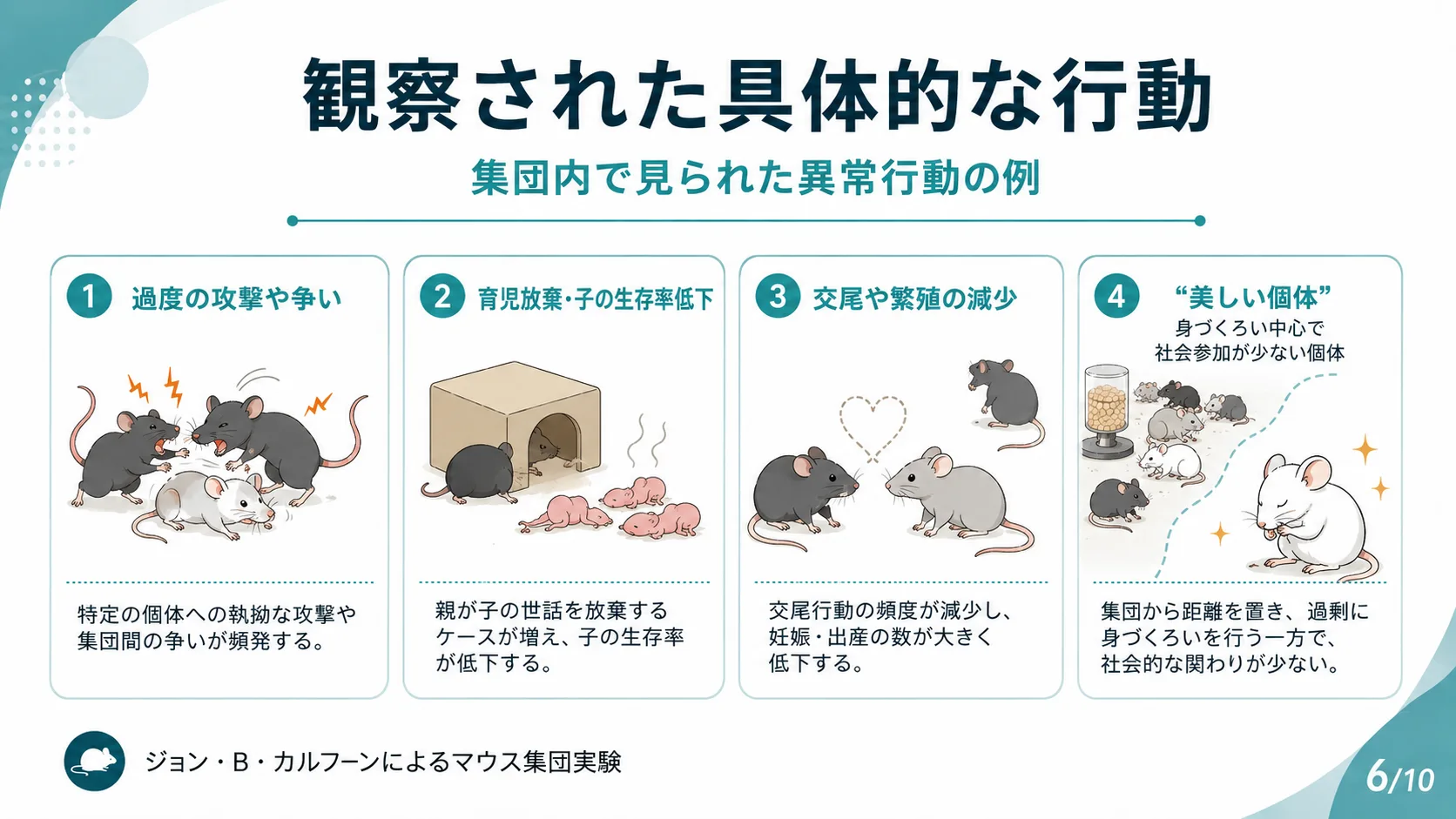 観察された具体的な行動