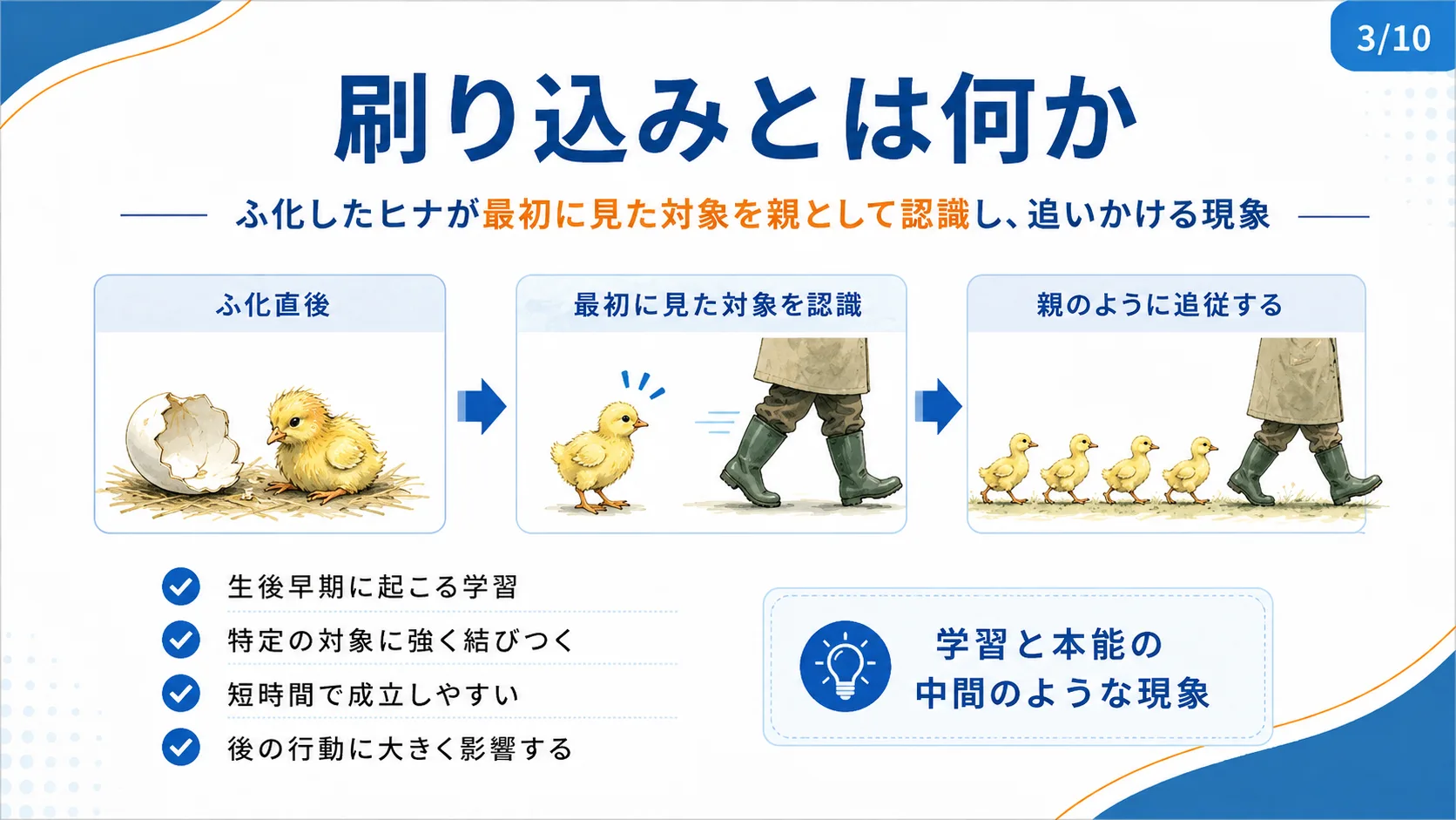 刷り込みとは何か