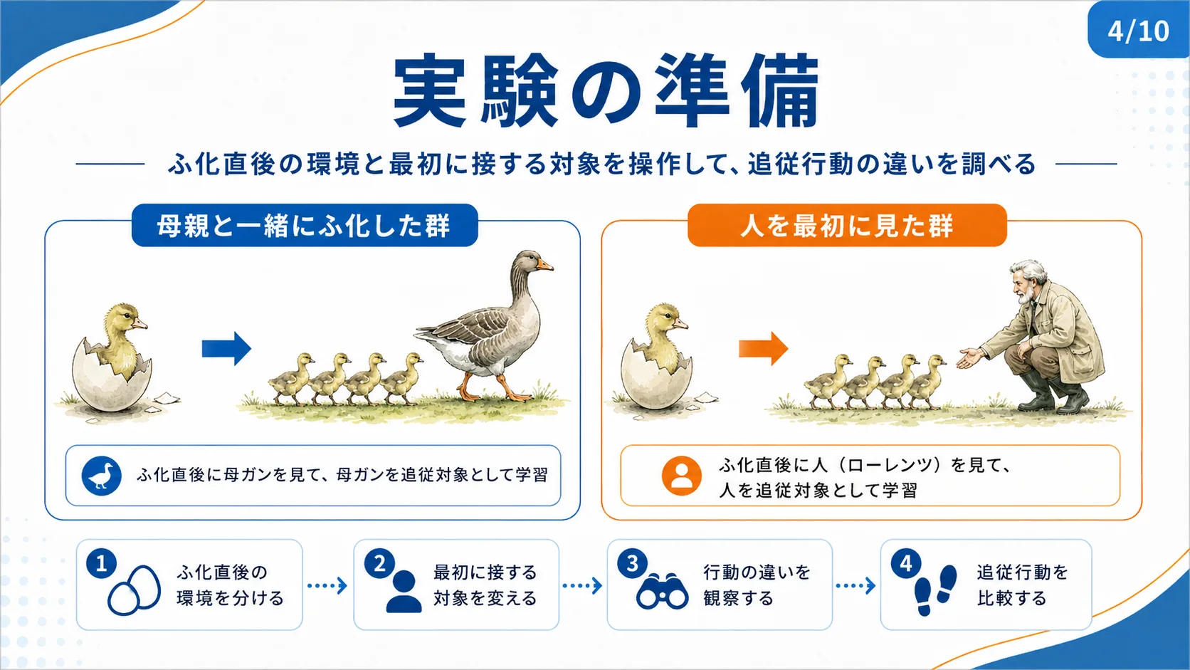 実験の準備