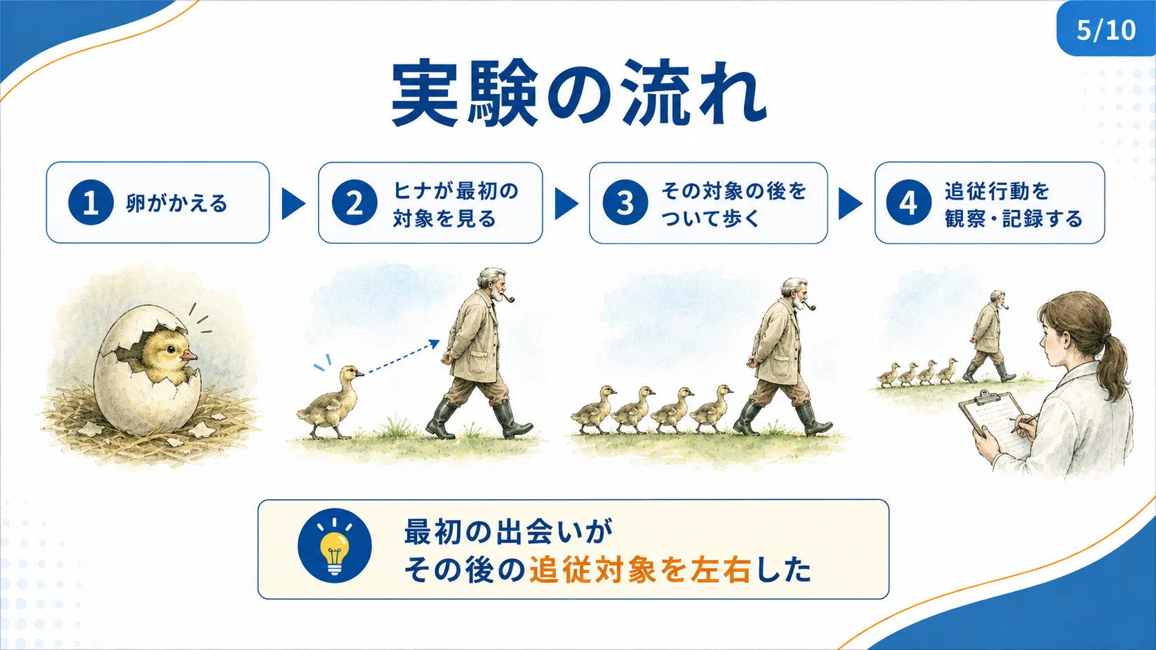 実験の流れ