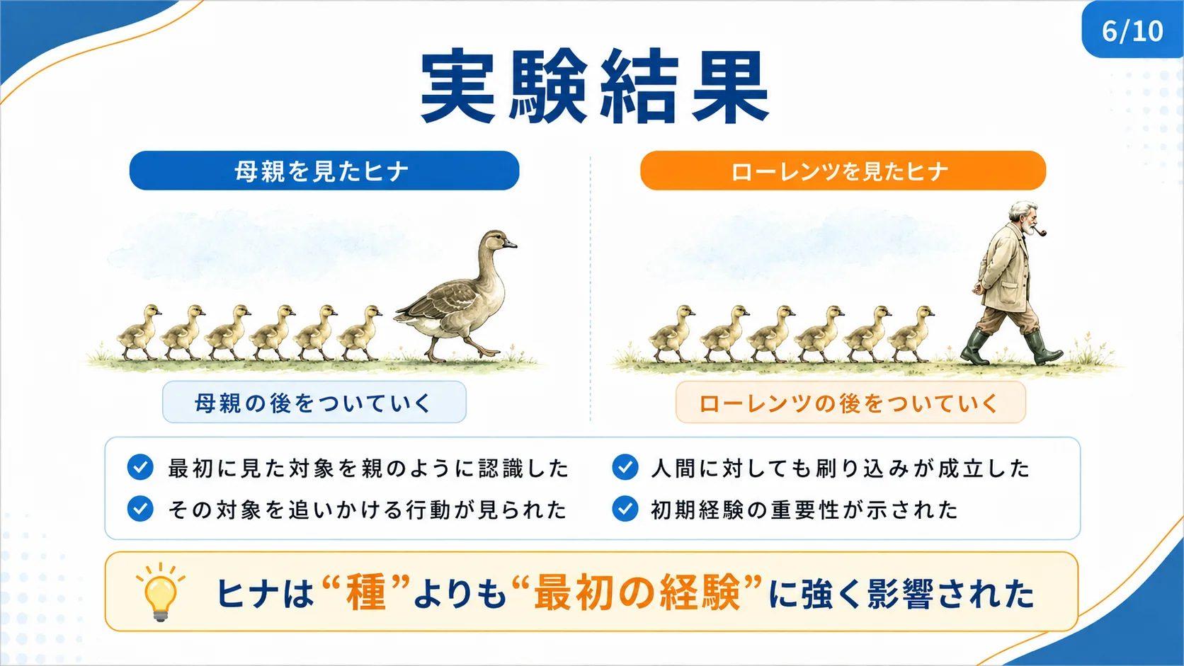 実験結果