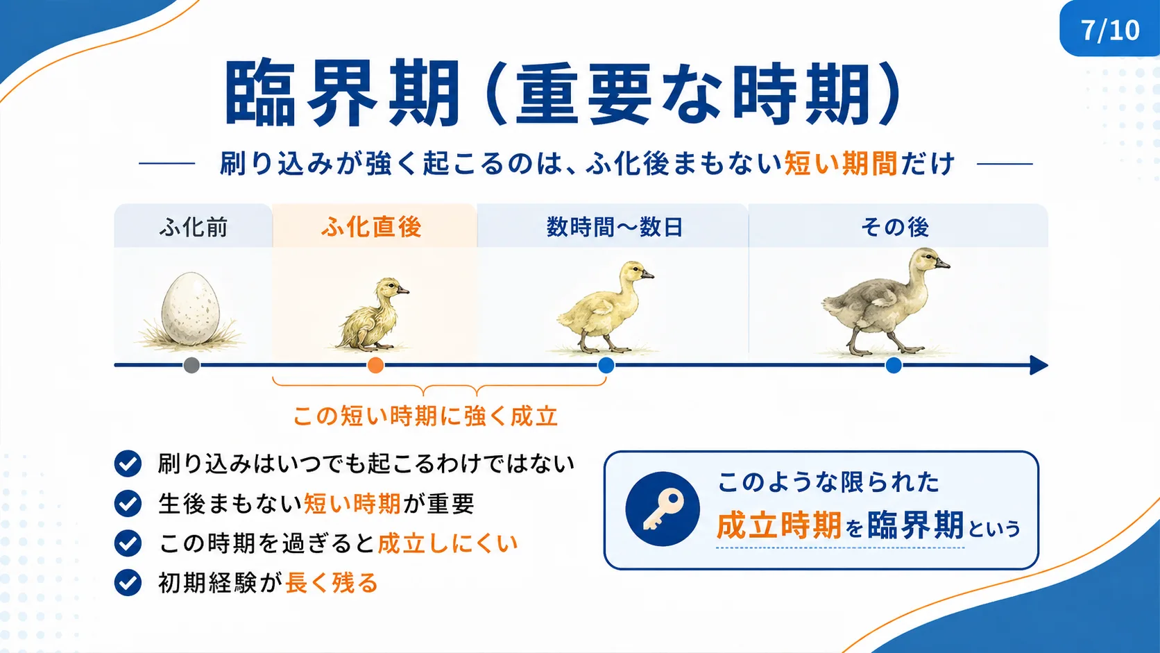 臨界期（重要な時期）