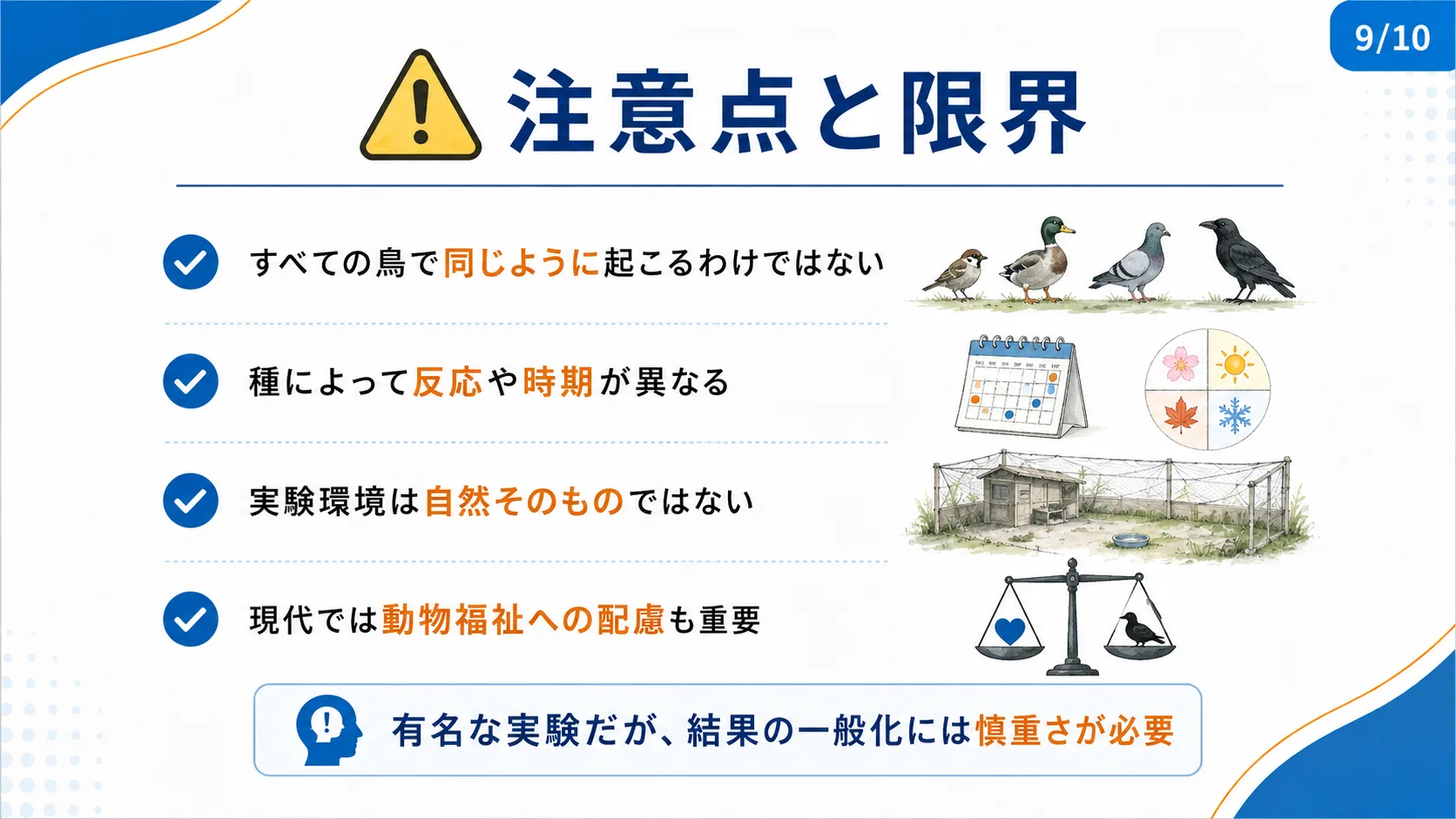 注意点と限界