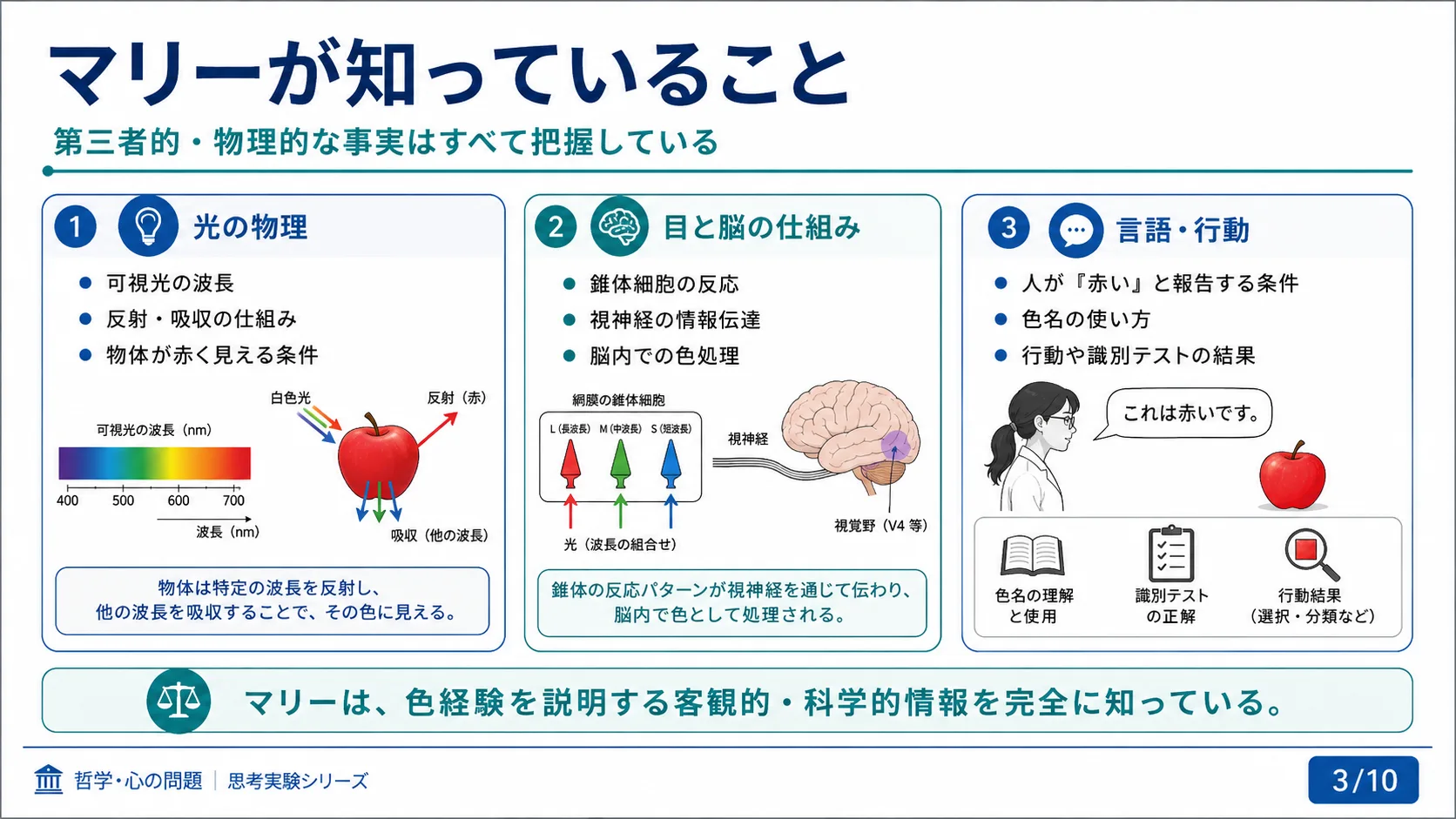 マリーが知っていること